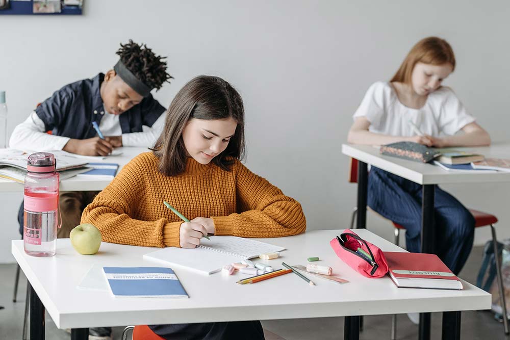 Hälsofrämjande skola – för skolors Elevhälsa och skolpersonal