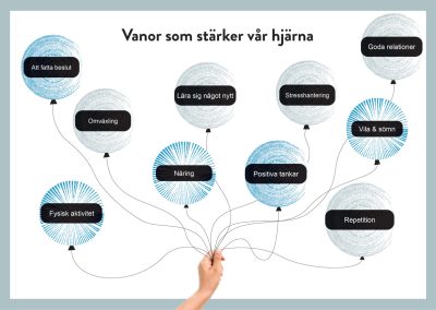Vanor som stärker vår hjärna, Vi lär om livet